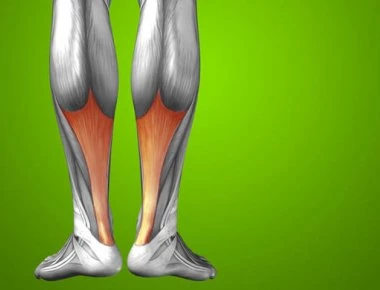 Έρευνα: Πως ο αχίλλειος τένοντας συνδέεται με την υγεία της καρδιάς